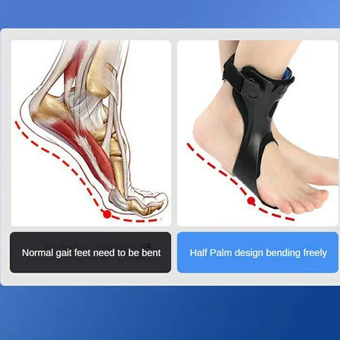 Drop Foot Brace AFO Orthosis Ankle Support with Comfortable Adjustable Buckle for Hemiplegia Stroke Walking Shoes