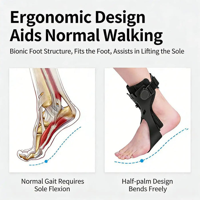 Foot Drop Orthotics Adjustable Buckle For Hemiplegia Stroke Shoes Walking AFOs Ankle Support With Comfortable Foot Ankle Support
